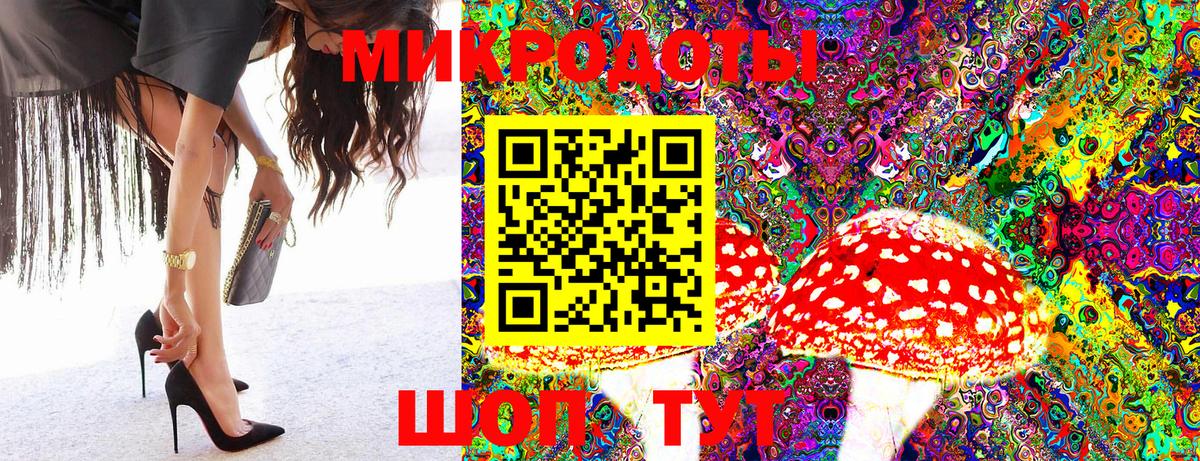 Галлюциногенные грибы GOLDEN TEACHER  Вход с VPN  Галлюциногенные грибы Psilocybine cubensis  Протвино 
